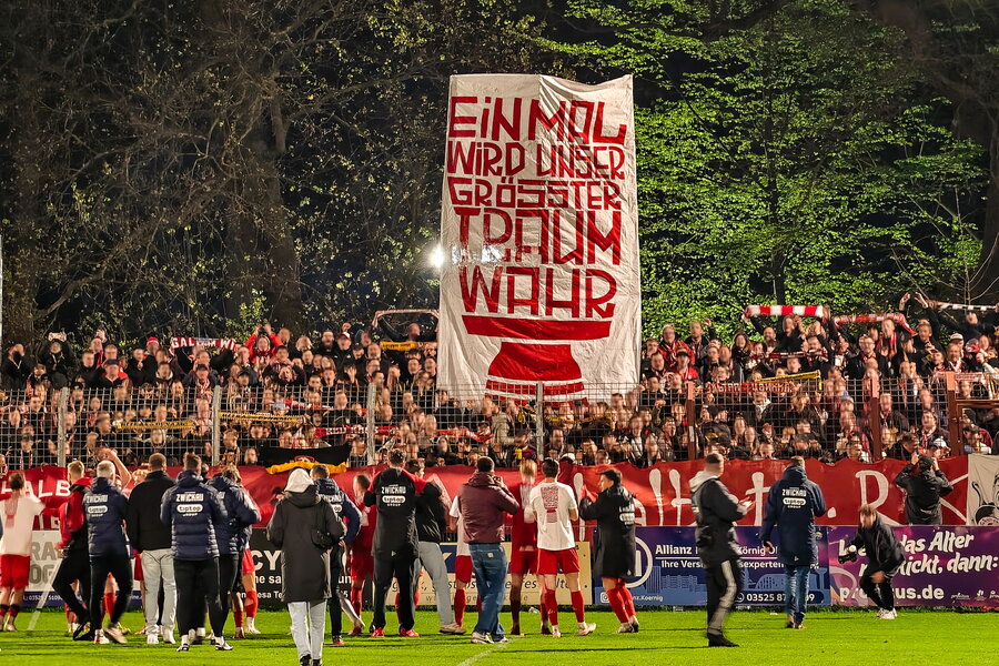 BSG Stahl Riesa – FSV Zwickau – Bild 16