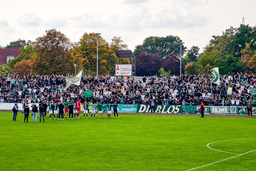 Hoyerswerdaer FC – BSG Chemie Leipzig – Bild 15