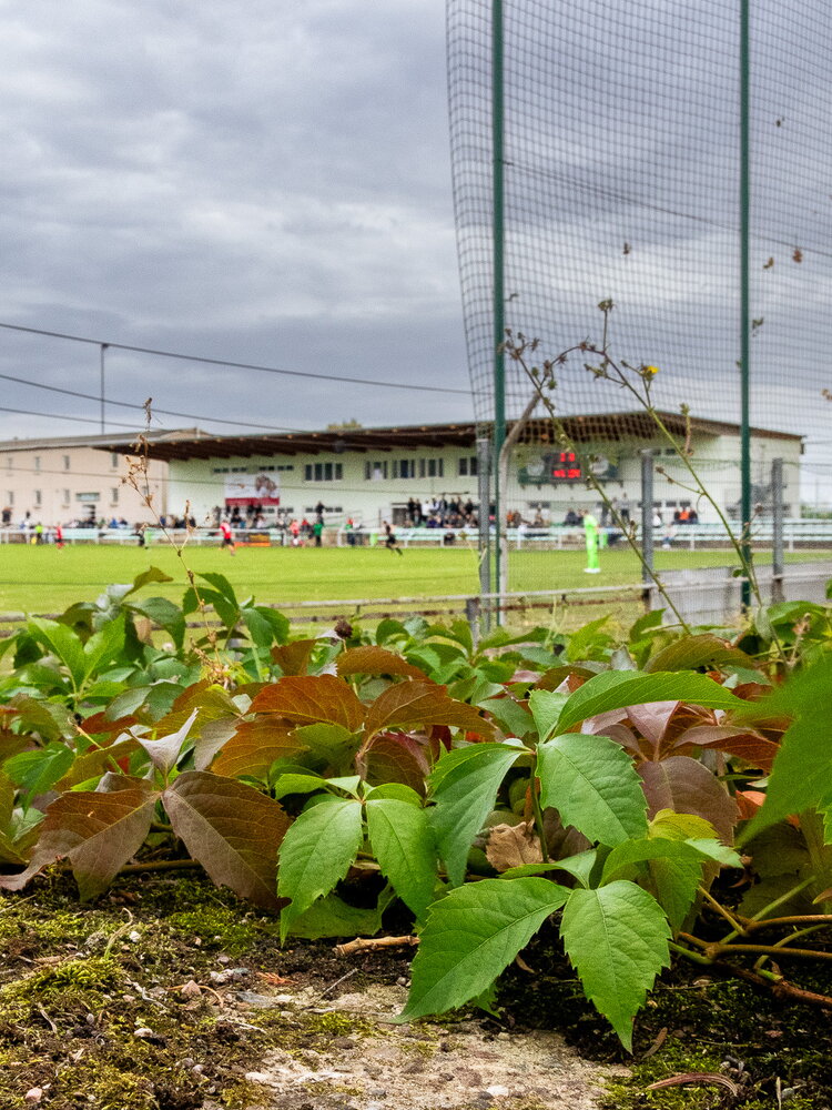 SC Weimar – SV Schmölln – Bild 30