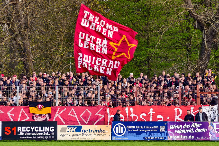 BSG Stahl Riesa – FSV Zwickau – Bild 7