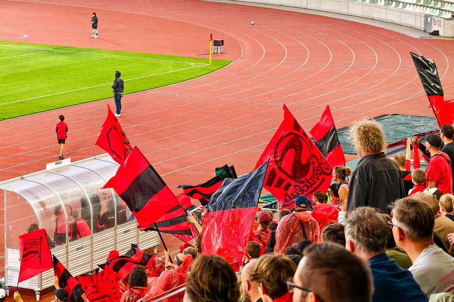 Dresdner SC – Chemnitzer FC – Bild 15