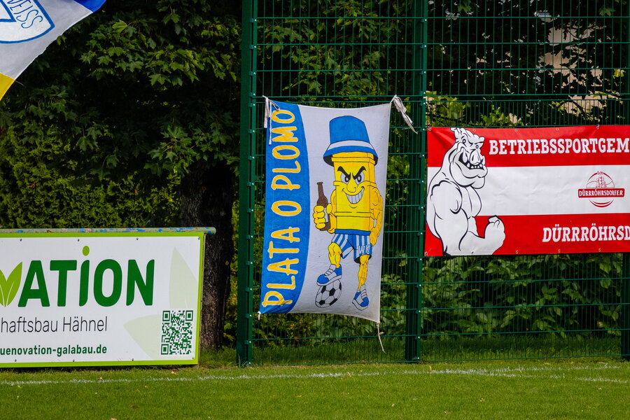 SV Wesenitztal 03 – Reichenbacher FC – Bild 7