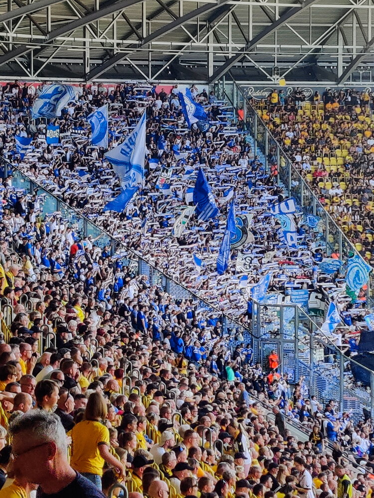 SG Dynamo Dresden – FC Schalke 04 – Bild 14