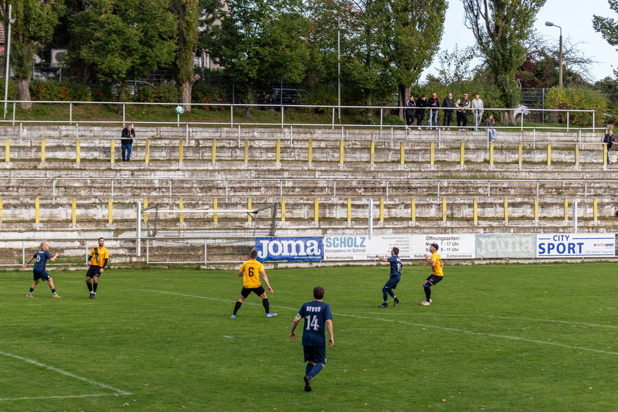NFV Gelb-Weiß Görlitz 09 – Holtendorfer SV – Bild 18