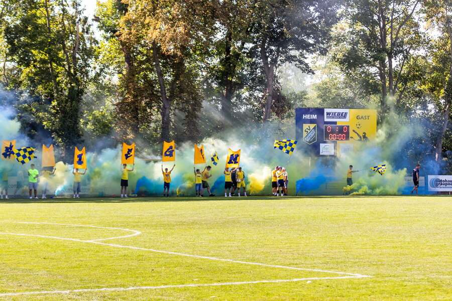 SV Panitzsch/Borsdorf – Dresdner SC – Bild 6