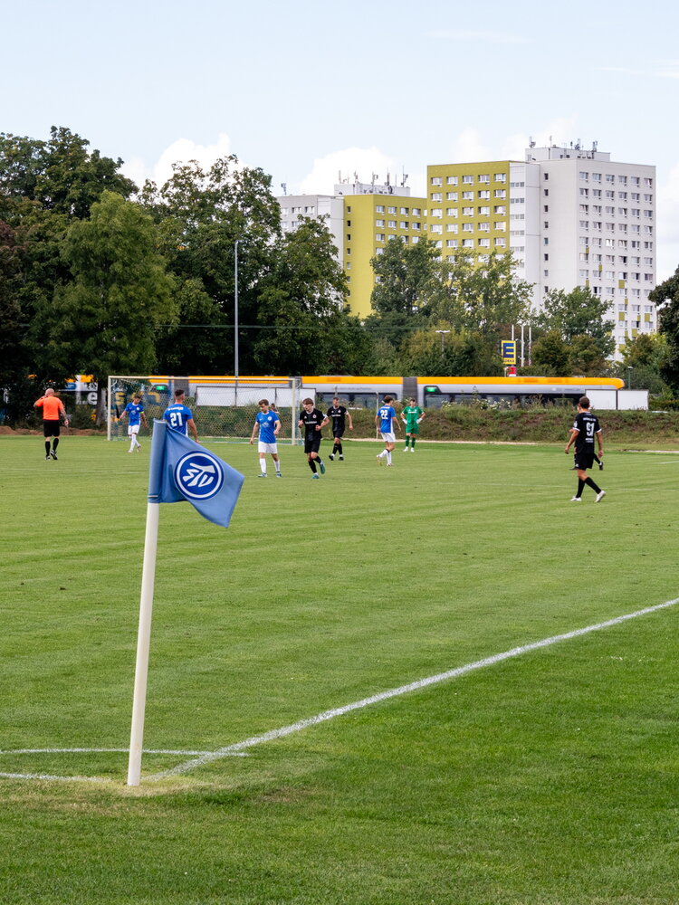 SV Tapfer 06 Leipzig – Dresdner SC – Bild 14