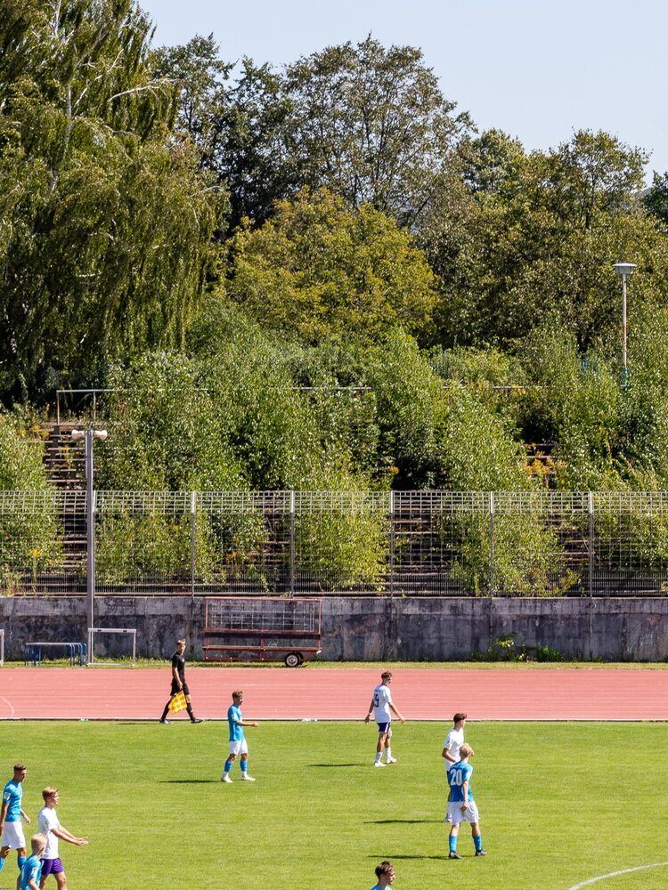 Chemnitzer FC U19 – FC Erzgebirge Aue U19 – Bild 13