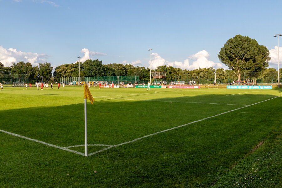SG Dynamo Dresden II – SV Lichtenberg 47 – Bild 2