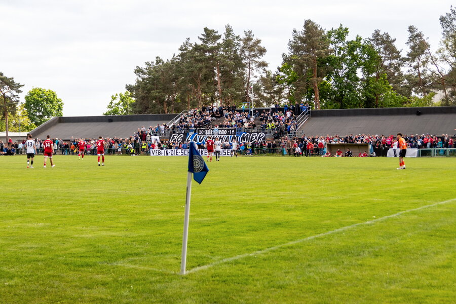 FC Lauchhammer – VfB Hohenleipisch – Bild 15