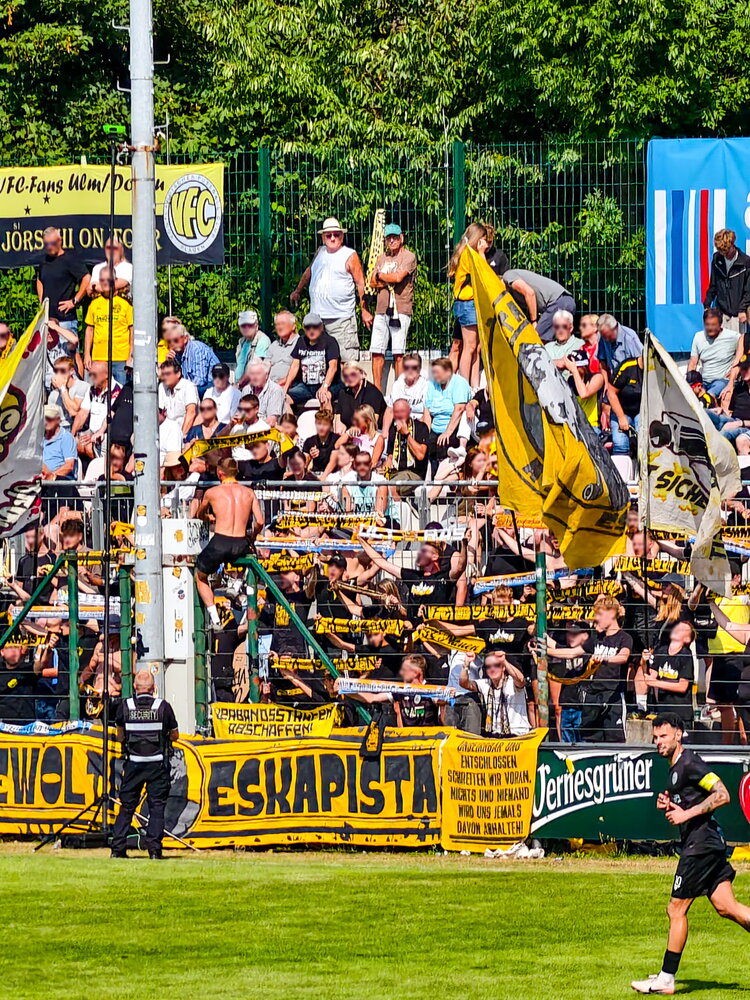 VfB Auerbach – VFC Plauen – Bild 14