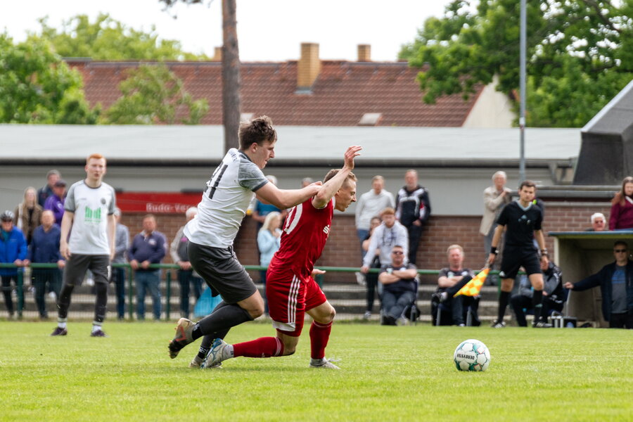 FC Lauchhammer – VfB Hohenleipisch – Bild 6