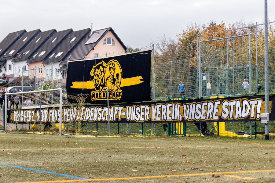 Neustädtler SV Schwarz-Gelb 90 – FC Concordia Schneeberg – Bild 23