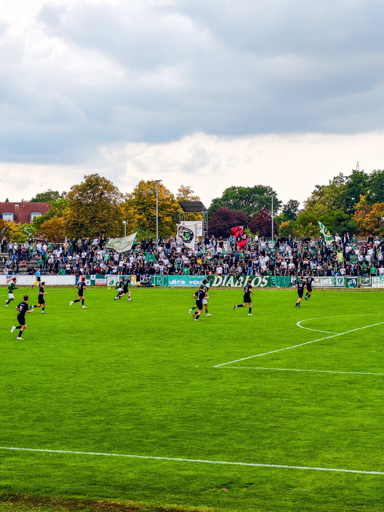 Hoyerswerdaer FC – BSG Chemie Leipzig – Bild 14