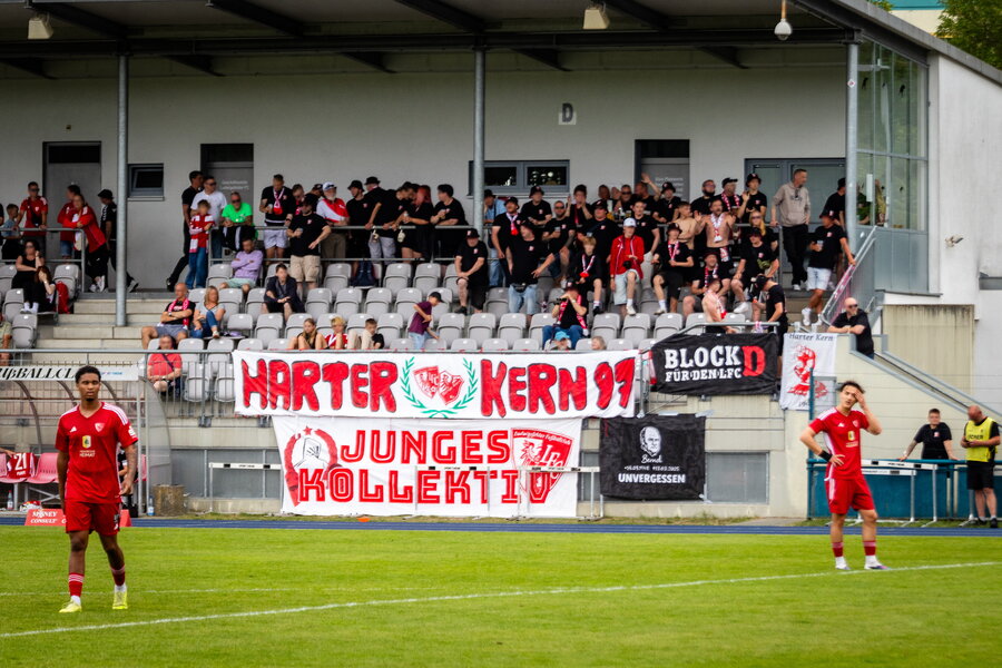 Ludwigsfelder FC – Werderaner FC Viktoria – Bild 10