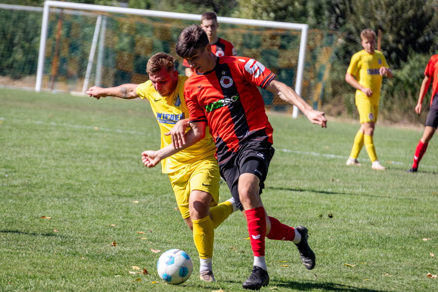 SV Panitzsch/Borsdorf – Dresdner SC – Bild 20