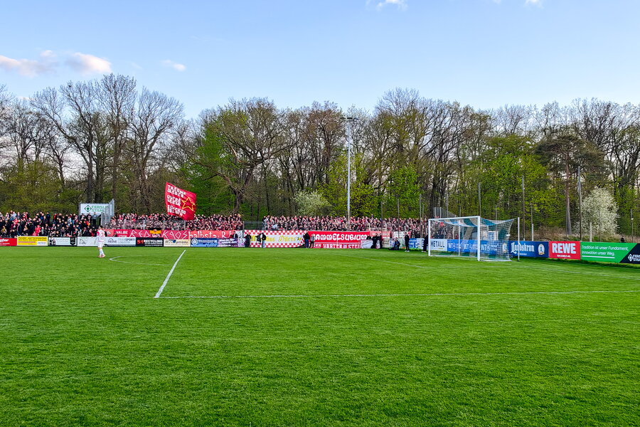 BSG Stahl Riesa – FSV Zwickau – Bild 10