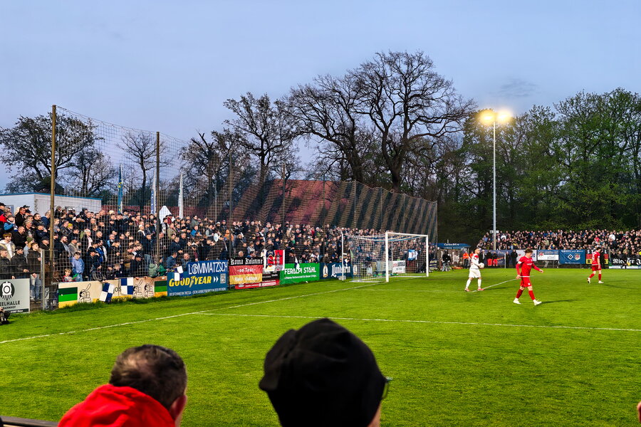 BSG Stahl Riesa – FSV Zwickau – Bild 13