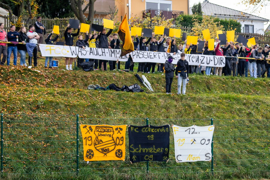 Neustädtler SV Schwarz-Gelb 90 – FC Concordia Schneeberg – Bild 37