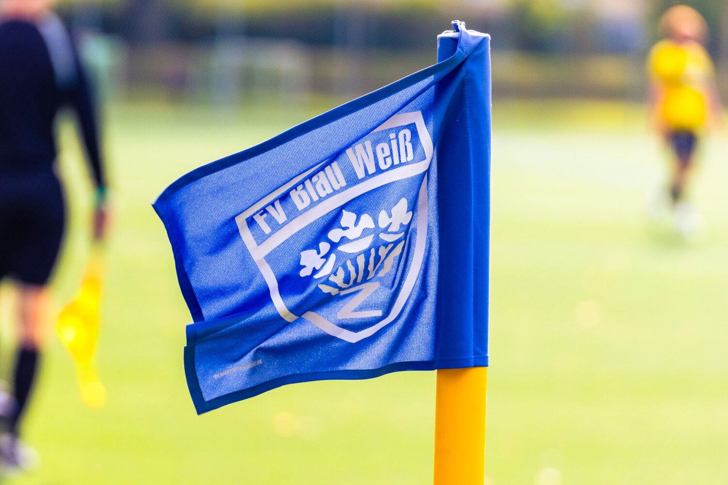FV Blau-Weiß Zschachwitz – VFC Plauen – Bild 9