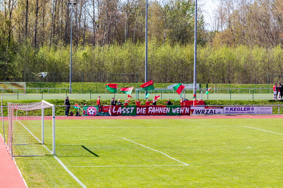 FSV Limbach-Oberfrohna – TV Oberfrohna – Bild 2