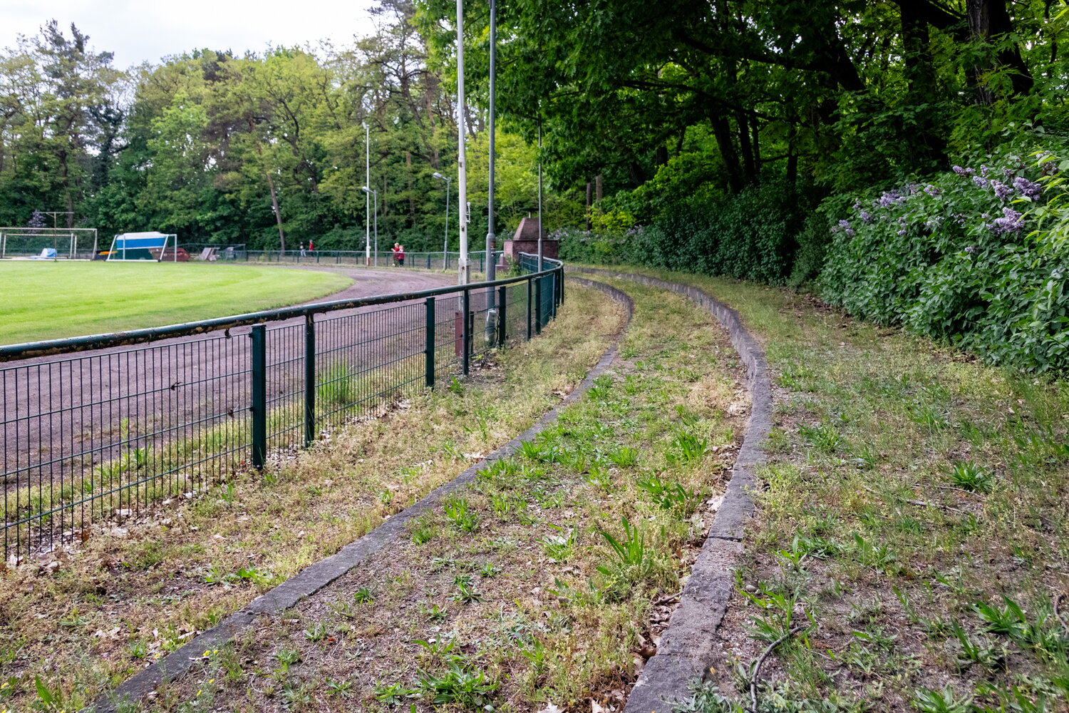 FC Lauchhammer – VfB Hohenleipisch – Bild 17