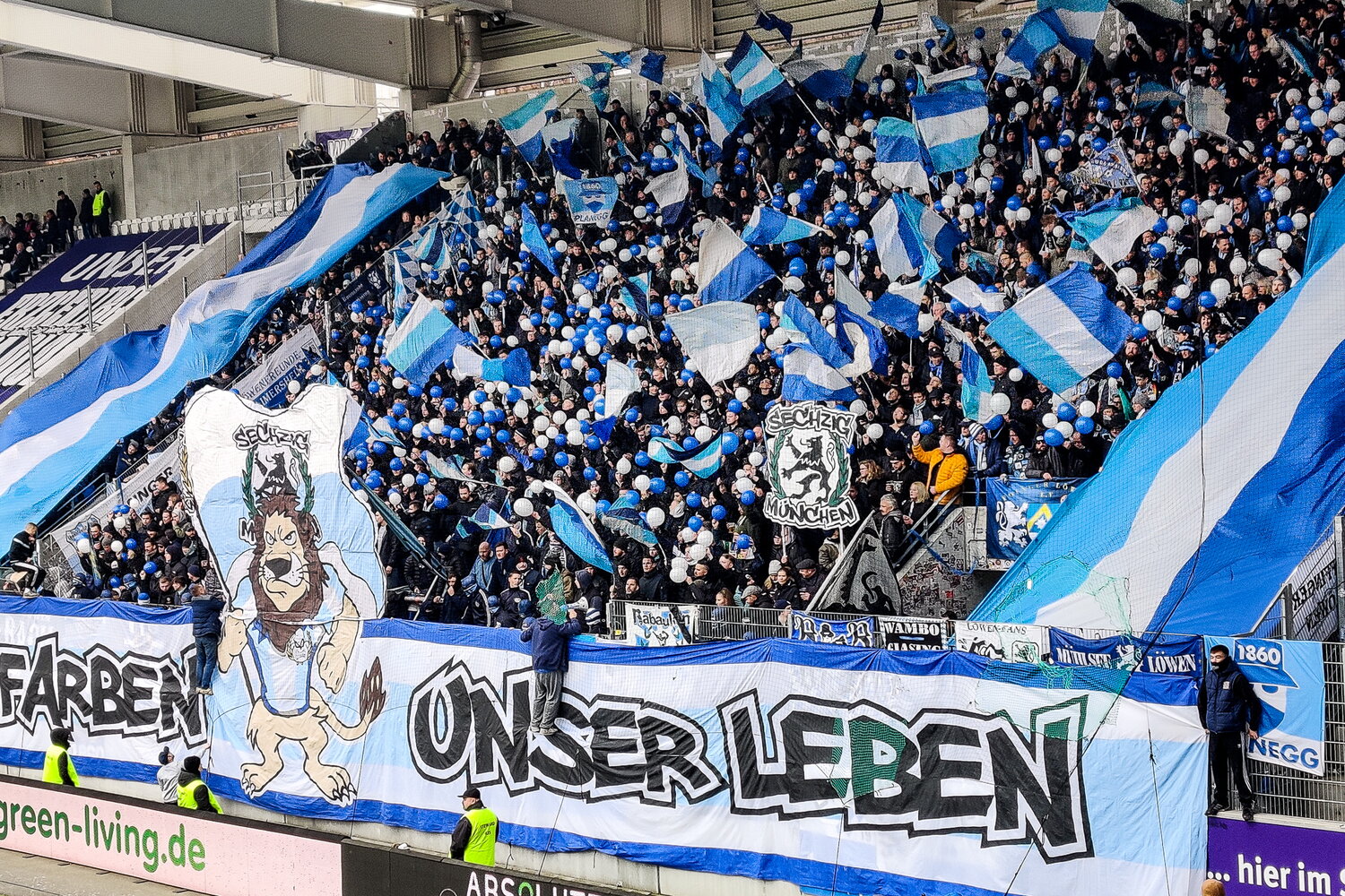 FC Erzgebirge Aue – TSV 1860 München – Bild 25
