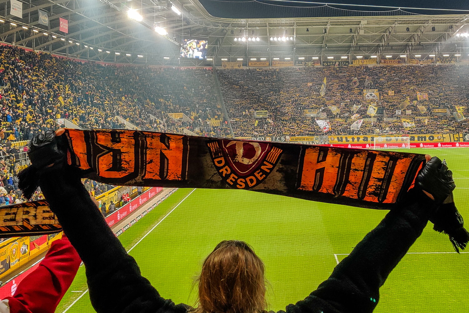 SG Dynamo Dresden – SV Waldhof Mannheim – Bild 1
