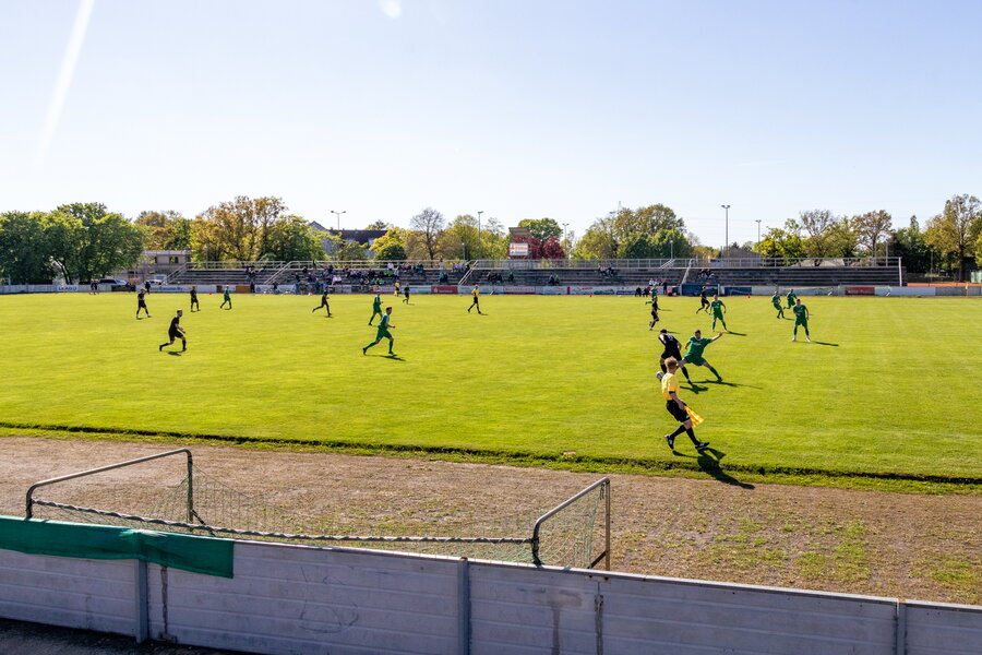 Hoyerswerdaer FC – SV Wesenitztal 03 – Bild 15