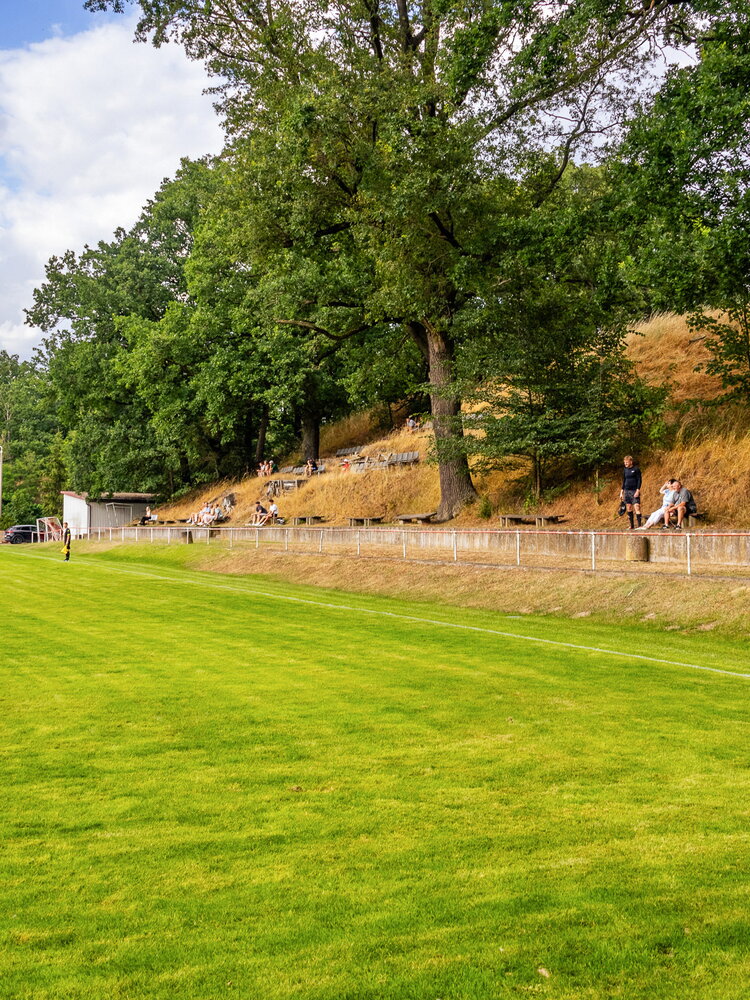 FSV Wacker Dahlen – BSG Stahl Riesa – Bild 14