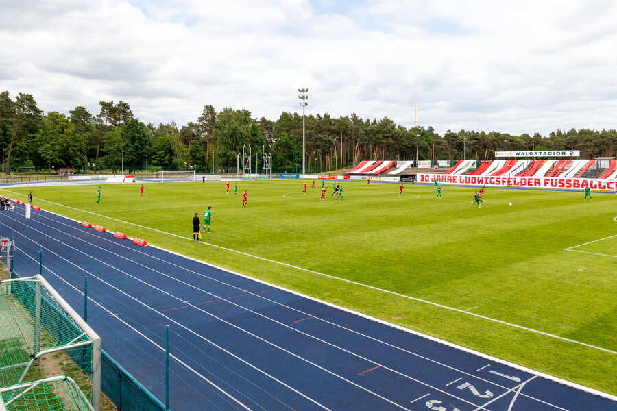 Ludwigsfelder FC – Werderaner FC Viktoria – Bild 13