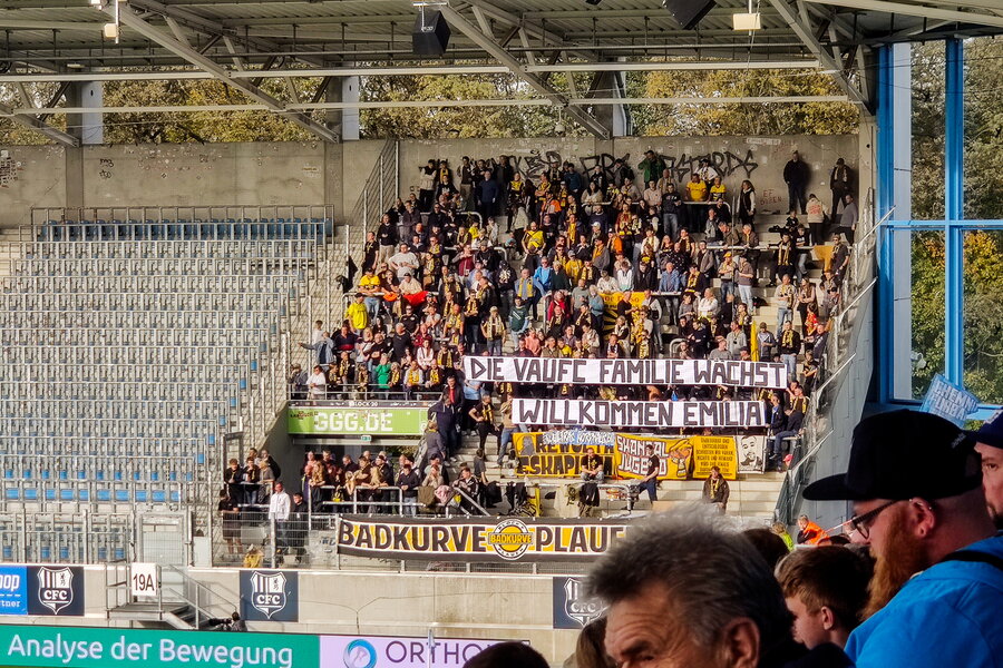 Chemnitzer FC – VFC Plauen – Bild 29
