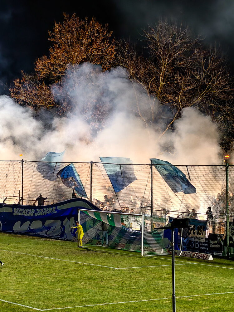 BSG Chemie Leipzig – Chemnitzer FC – Bild 14