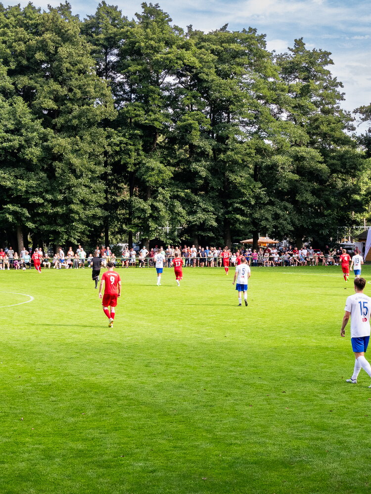 SG Weixdorf – FC Oberlausitz Neugersdorf – Bild 13