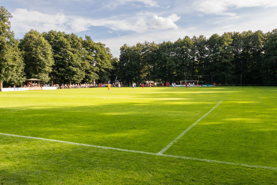 SG Weixdorf – FC Oberlausitz Neugersdorf – Bild 11