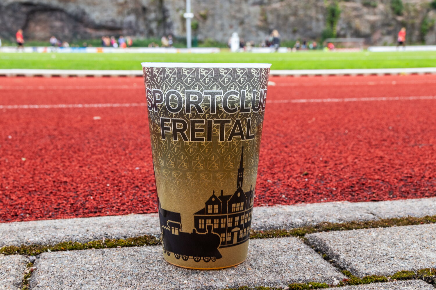 SC Freital – SV 09 Arnstadt – Bild 1