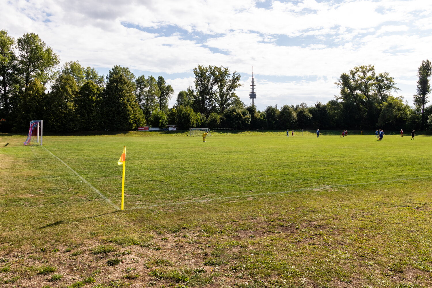 SV Brehmer Leipzig U17 – TSV Böhlitz-Ehrenberg U17 – Bild 1