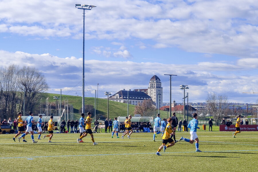 SG Dynamo Dresden U17 – Chemnitzer FC U17 – Bild 3