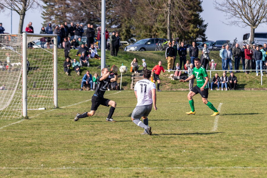 SV Grün-Weiß Ebersbach – Berbisdorfer SV – Bild 8