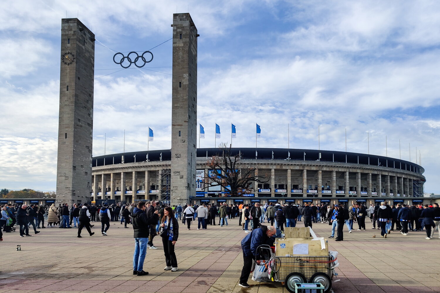 Hertha BSC – SG Dynamo Dresden – Bild 1