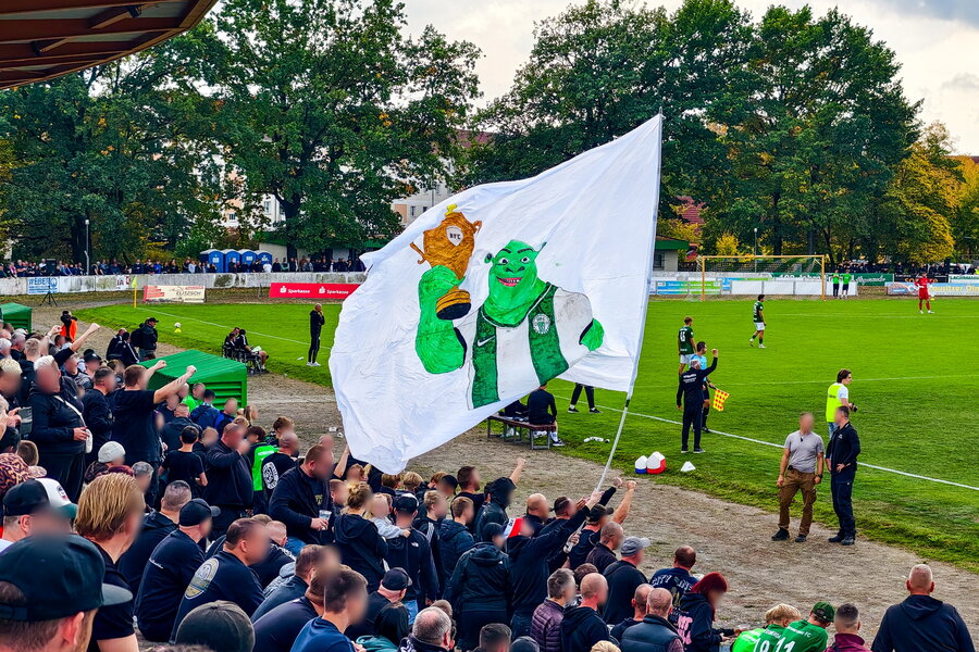 Hoyerswerdaer FC – BSG Chemie Leipzig – Bild 10