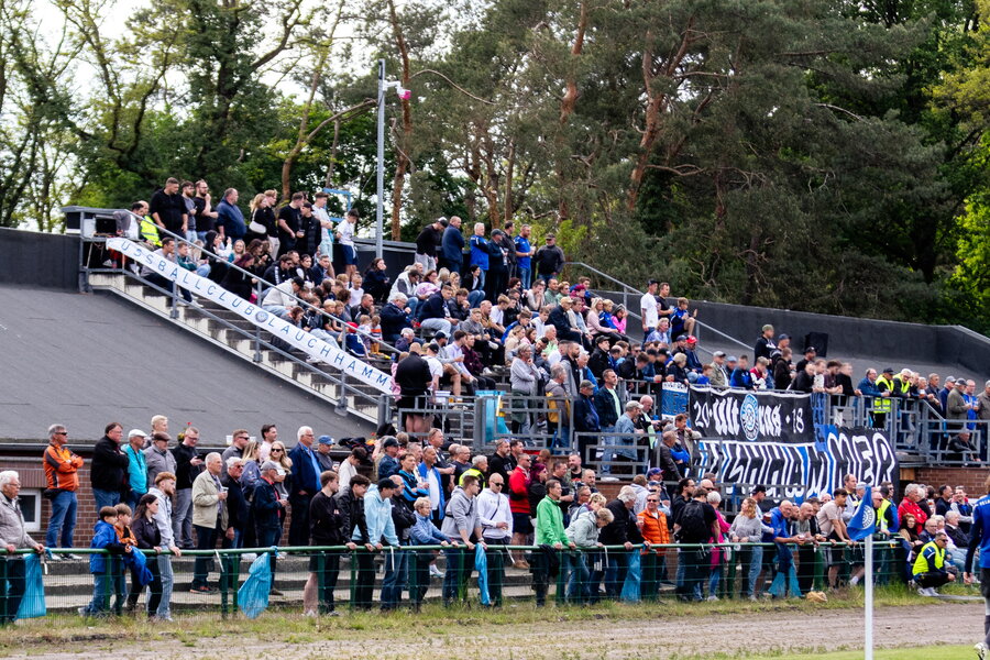 FC Lauchhammer – VfB Hohenleipisch – Bild 21