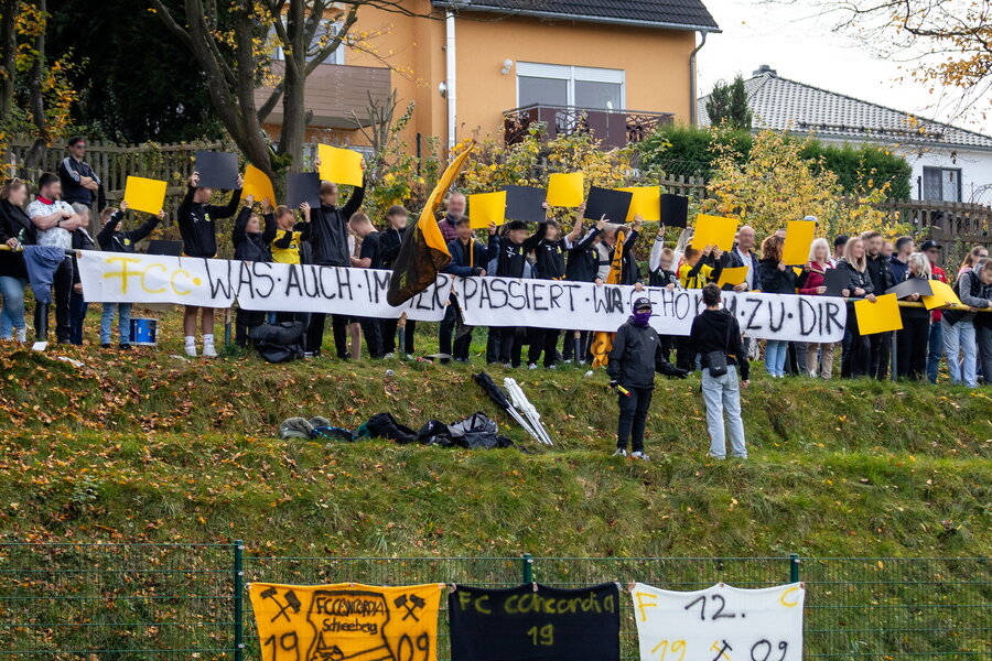 Neustädtler SV Schwarz-Gelb 90 – FC Concordia Schneeberg – Bild 4