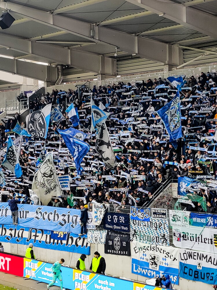 FC Erzgebirge Aue – TSV 1860 München – Bild 30