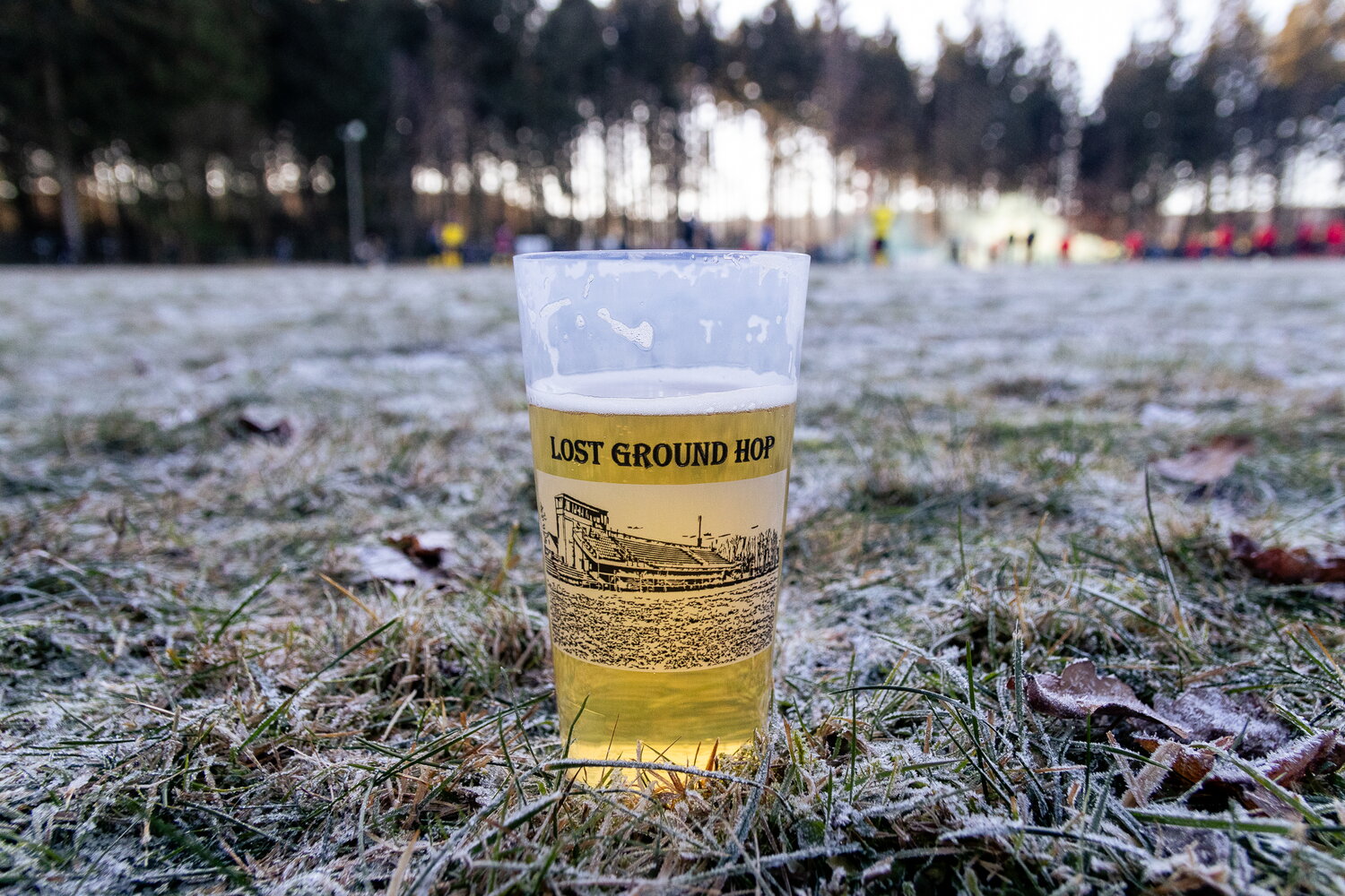SpVgg. Heinsdorfergrund 02 – USG Chemnitz – Bild 1