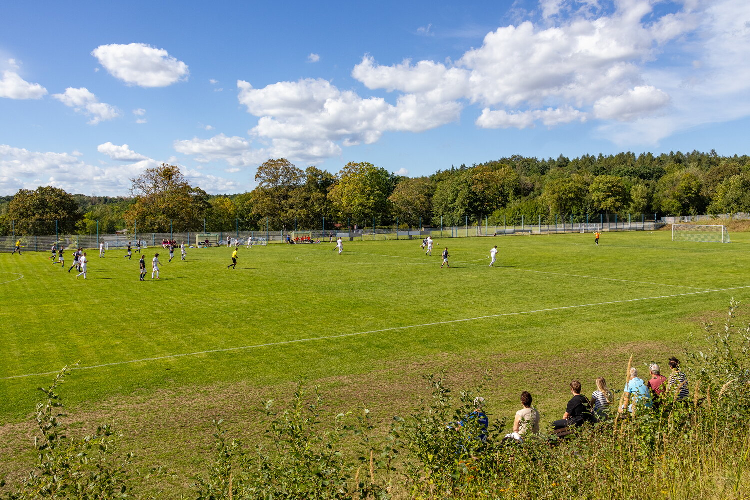 SpG Lohmen/Wehlen – SV Birkwitz-Pratzschwitz – Bild 1
